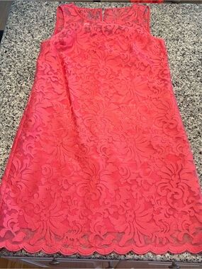 Donna Morgan Lace Shift Dress | Size 2
